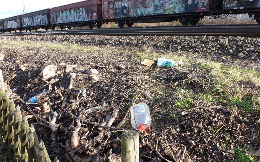 Brief an den Bun­des­mi­nis­ter für Jus­tiz, Digi­ta­les und Verkehr